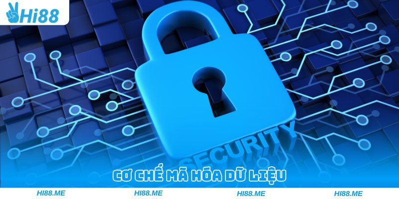 Cơ chế mã hóa dữ liệu trong chính sách bảo mật